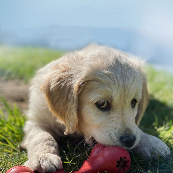Durable Bite Resistant Rubber Chew Toy For Teeth Grinding