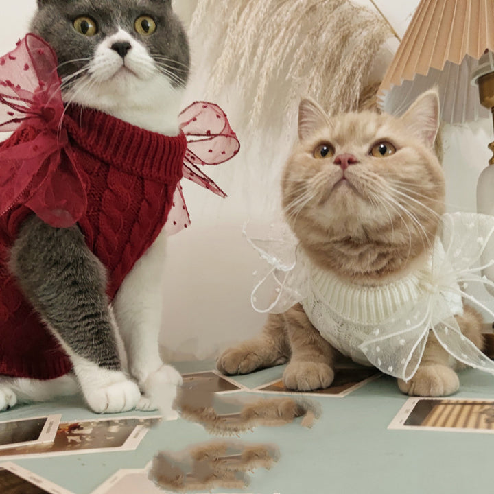 Cute Warm Pet Sweater For Cozy New Year Comfort
