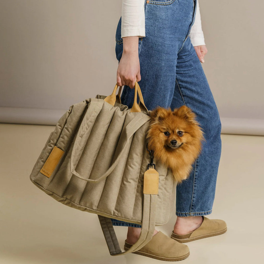 Lightweight Waterproof Pet Carrier Handbag For Outdoor Travel Use