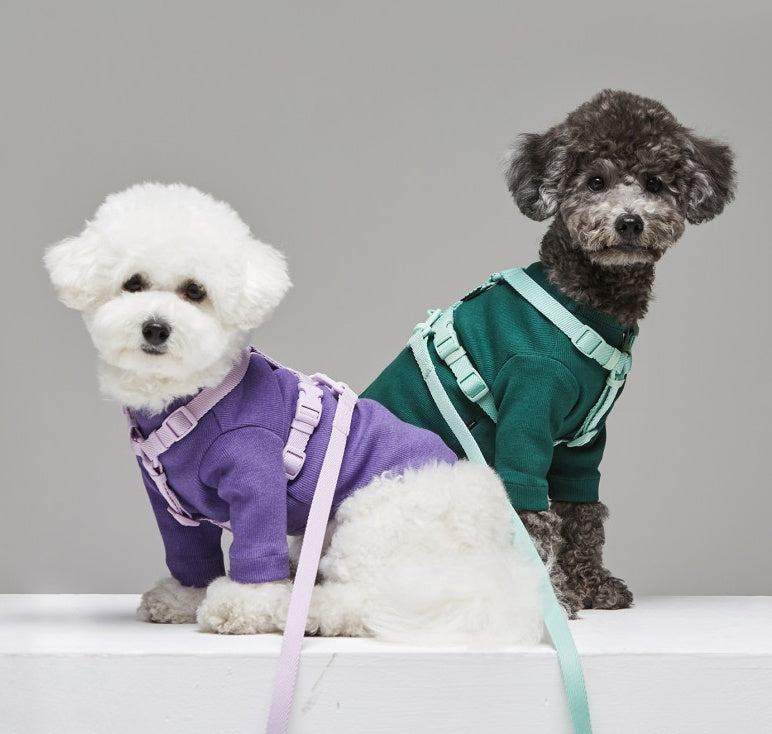 Macaron Style Pet Leash With Modern Minimal Design