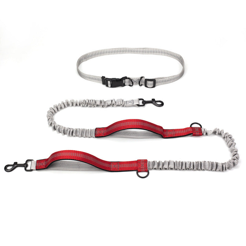 Outdoor Running Pet Leash For Active Walking And Training
