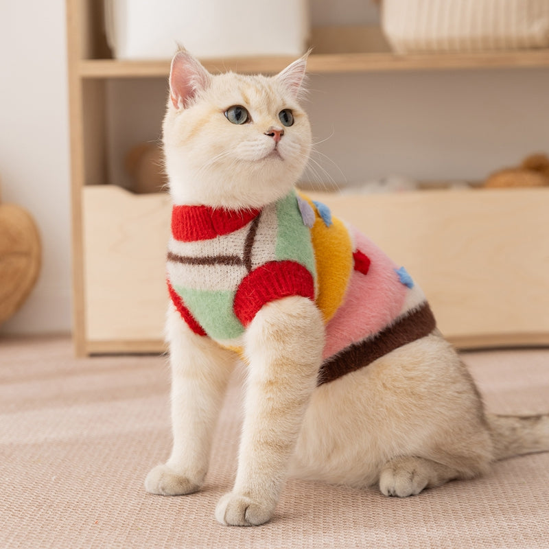 Cartoon Star Striped Pet Sweater With Matching Owner Set