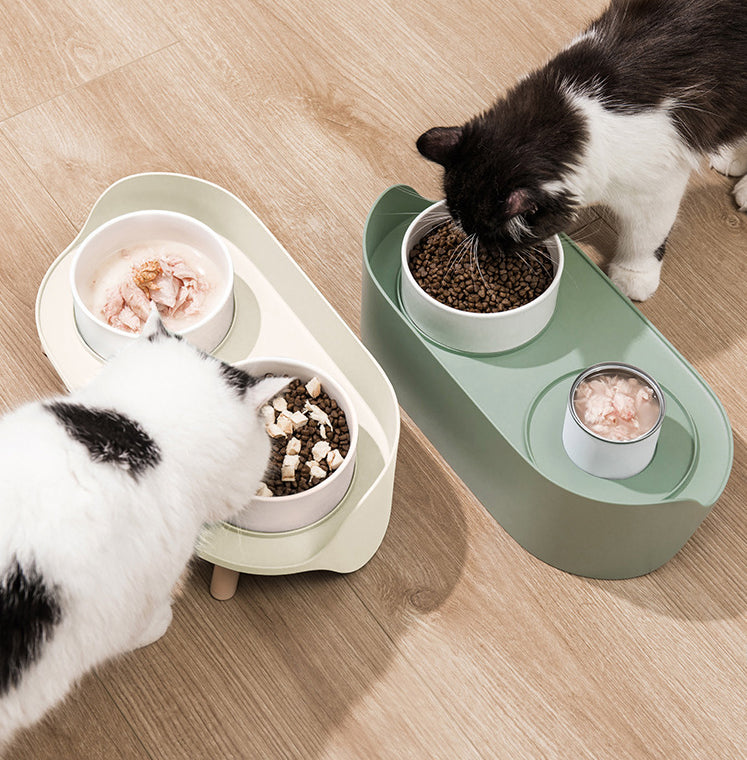 Adjustable Tilted Double Pet Bowl For Spill Proof Feeding