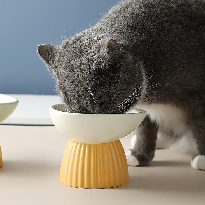 Ceramic Elevated Pet Bowl For Cervical Spine Protection