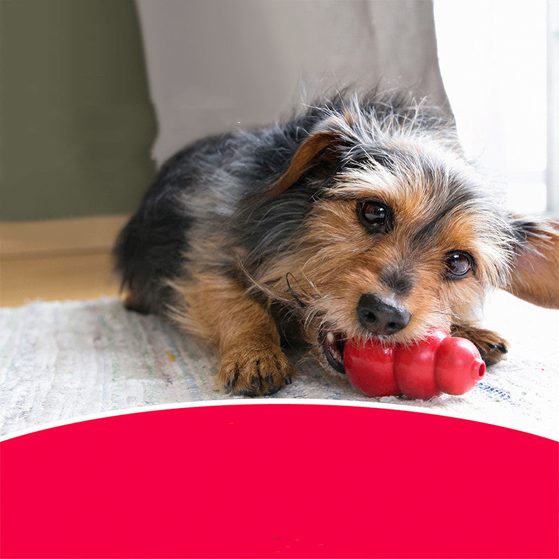 Durable Bite Resistant Rubber Chew Toy For Teeth Grinding