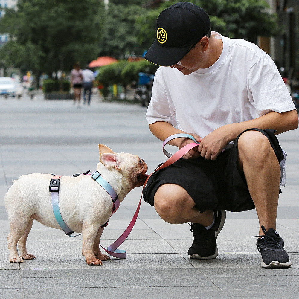 Pet Leash For Small And Medium Pets Durable Design