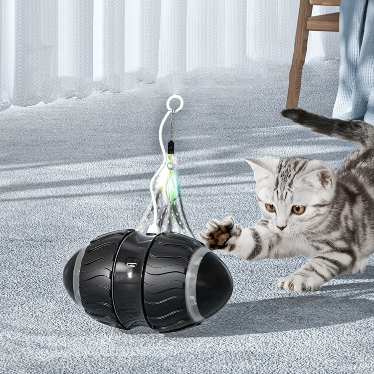 Electric Intelligent Pet Teaser Toy For Interactive Play