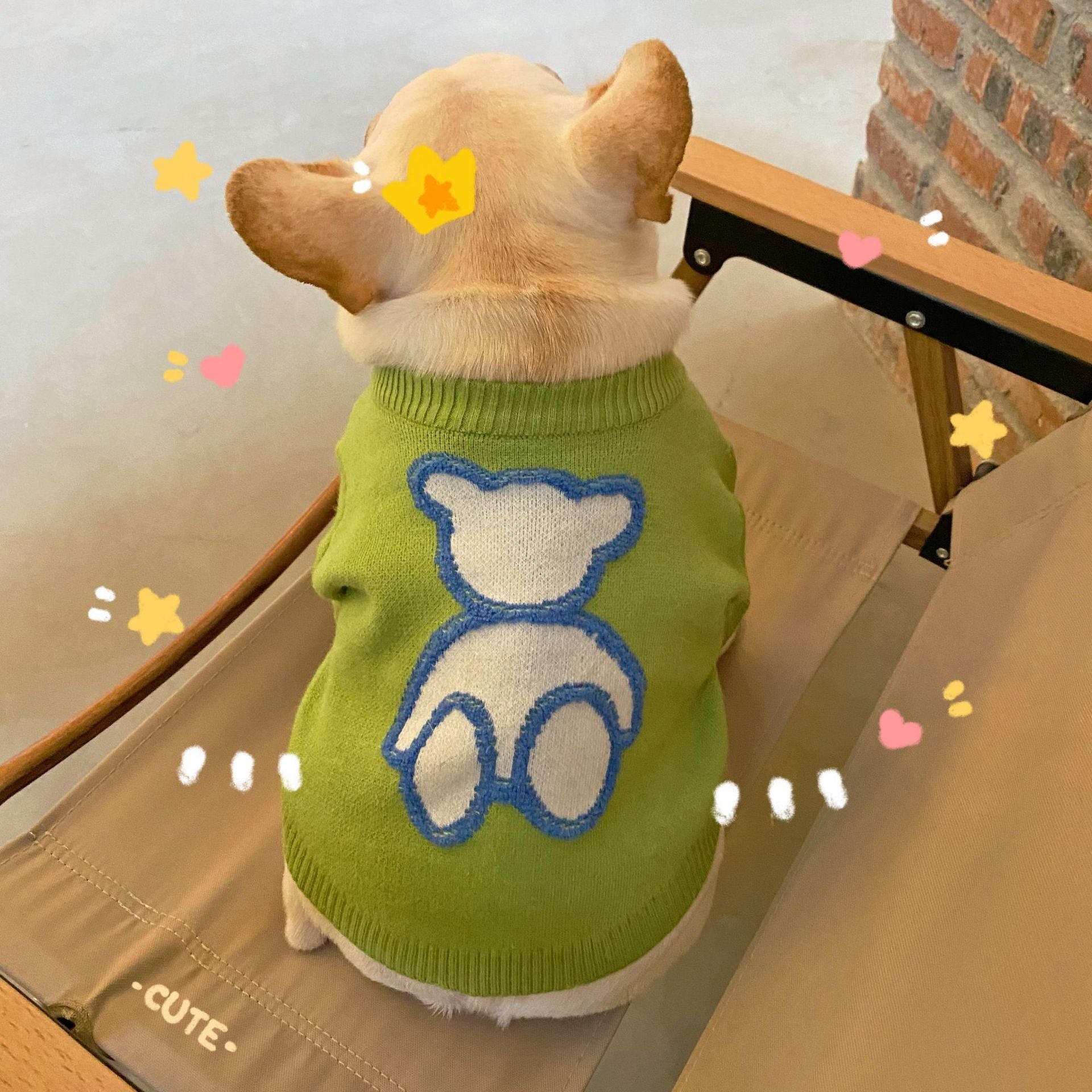 Warm Pet Sweater For Fall And Winter Everyday Wear