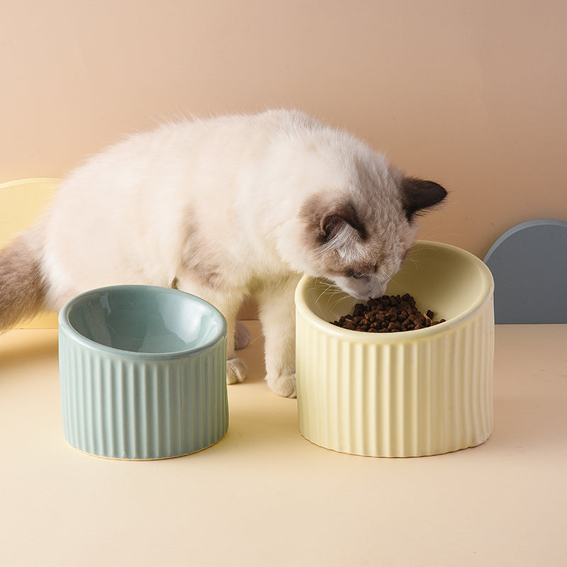 Ceramic Elevated Pet Bowl For Cervical Spine Support Feeding