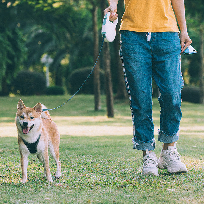 Retractable Pet Leash For Small Medium And Large Pets