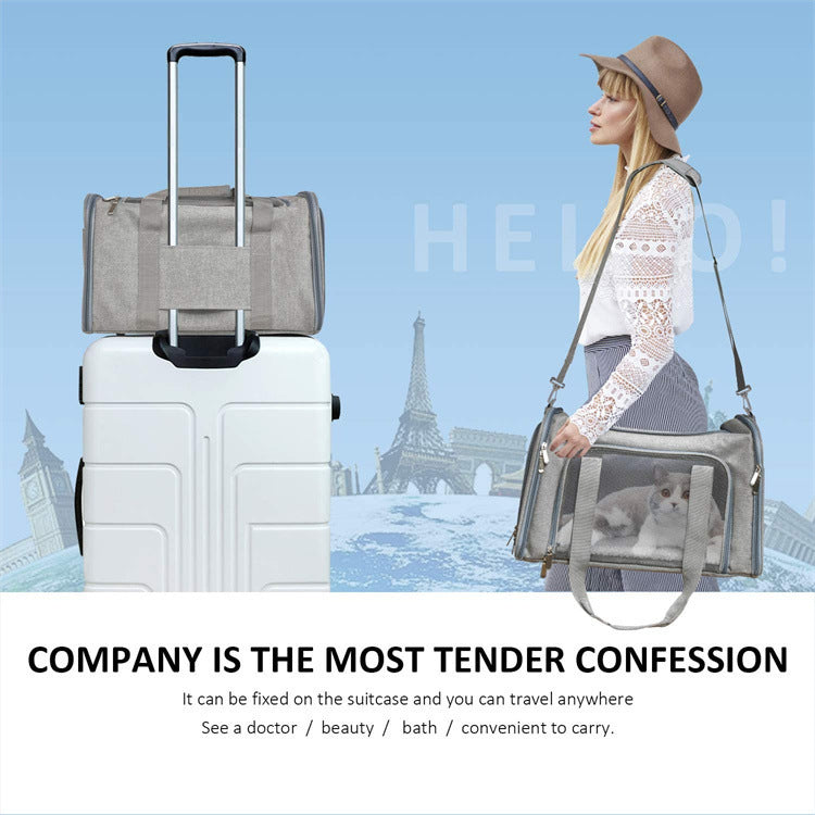 Portable Foldable Pet Carrier Bag For Easy Handheld Travel
