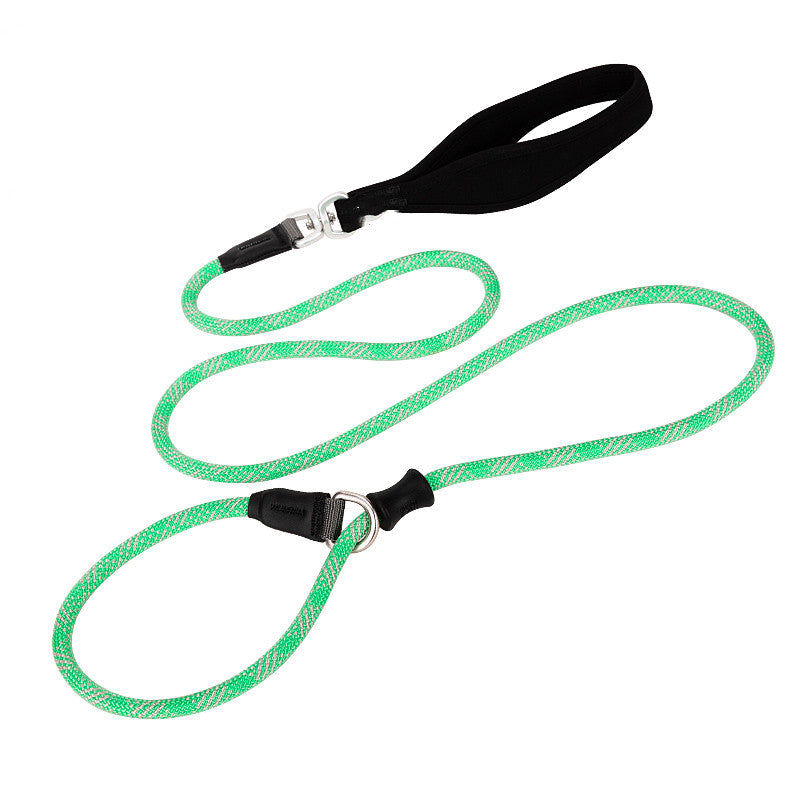 Durable Shock Absorbing Pet Leash For Safe Outdoor Walking