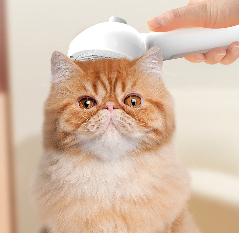 Self-Cleaning Pet Comb with Hair Remover and Built-In Mist Humidifier