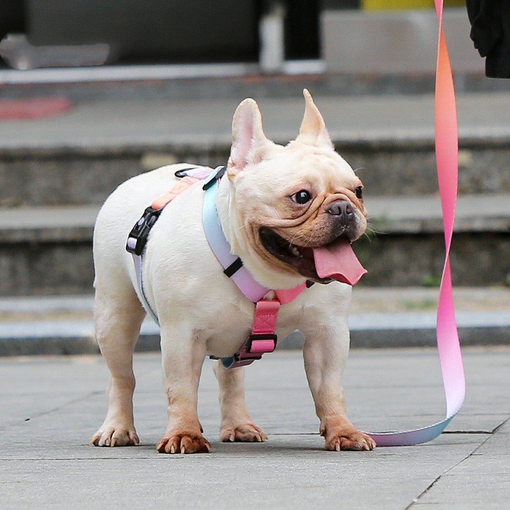Pet Leash For Small And Medium Pets Durable Design