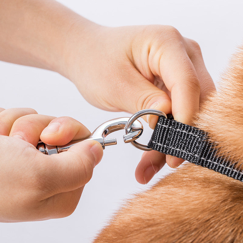 Retractable Pet Leash For Small Medium And Large Pets
