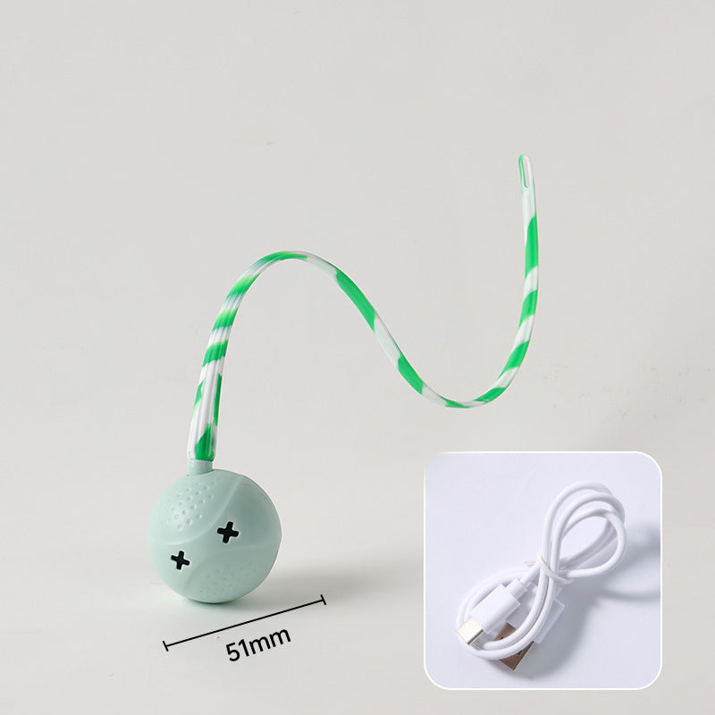 Interactive Electric Motion Activated Pet Ball Toy With Touch Sensor