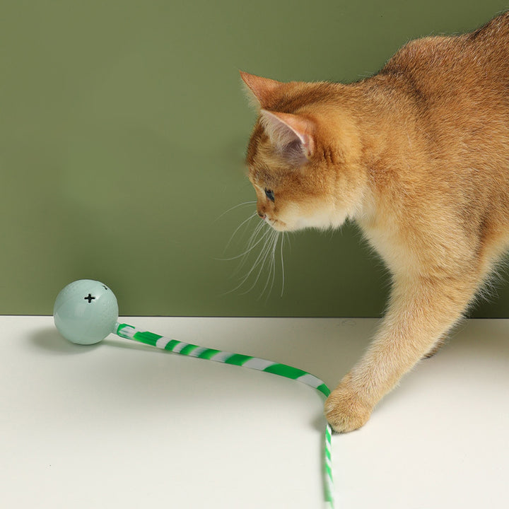 Interactive Electric Motion Activated Pet Ball Toy With Touch Sensor
