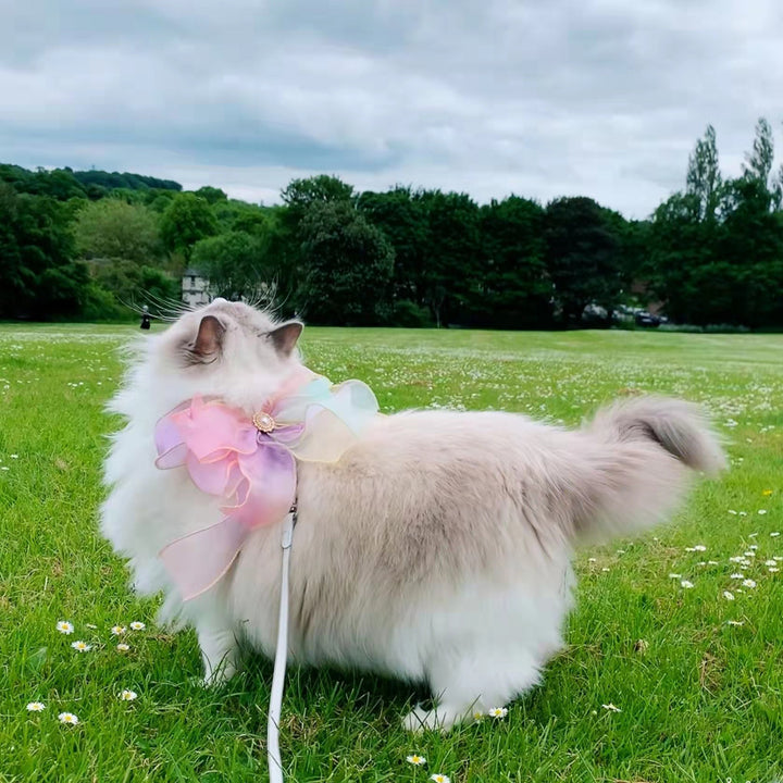 Butterfly Design Retractable Pet Leash With Break Free Safety Feature