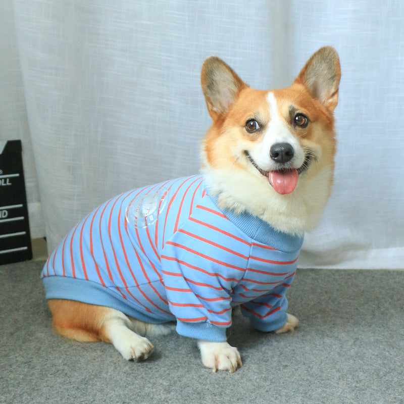 Matching Pet And Owner Sweater Set For Stylish Everyday Wear