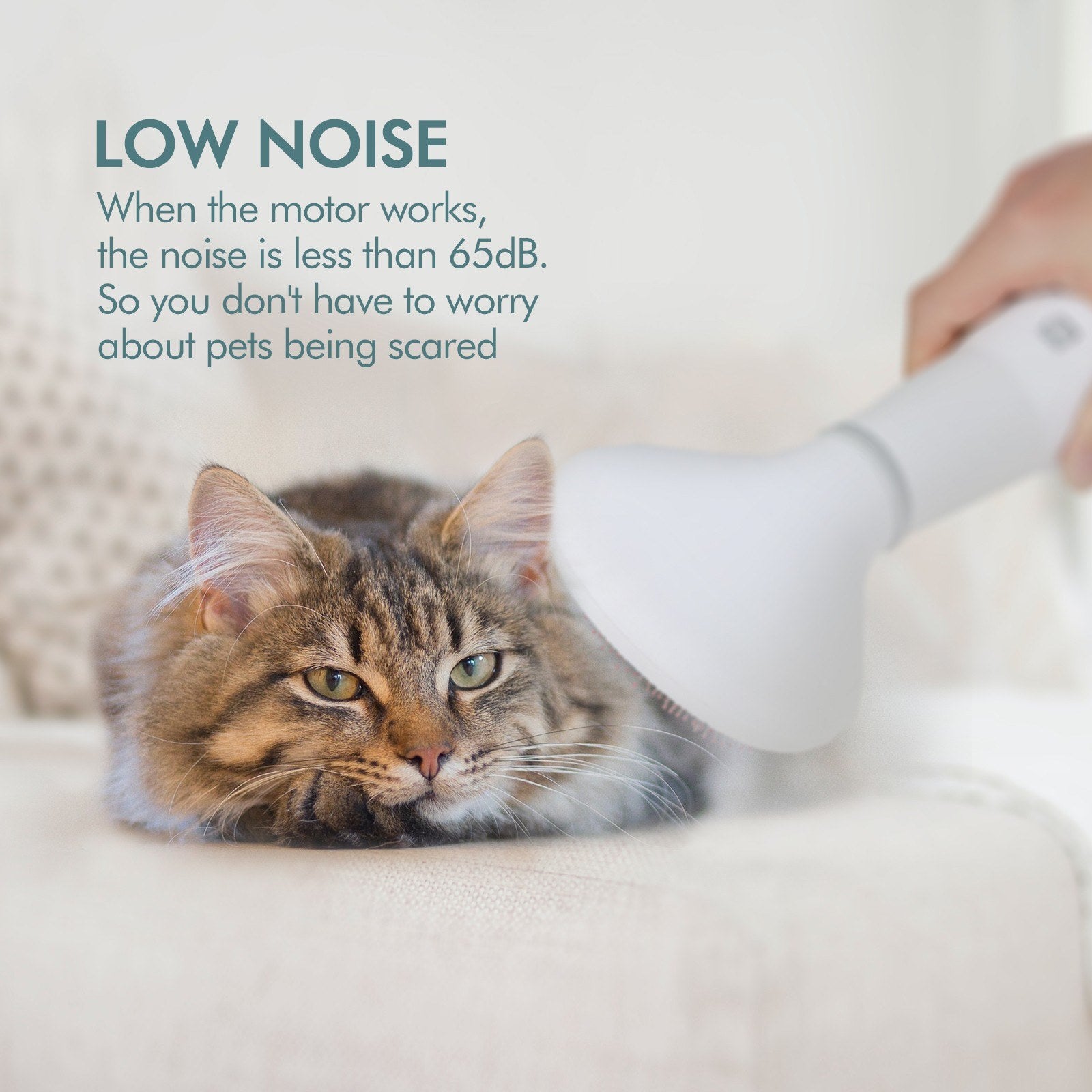 Pet Grooming Hair Dryer with Slicker Brush for Pets