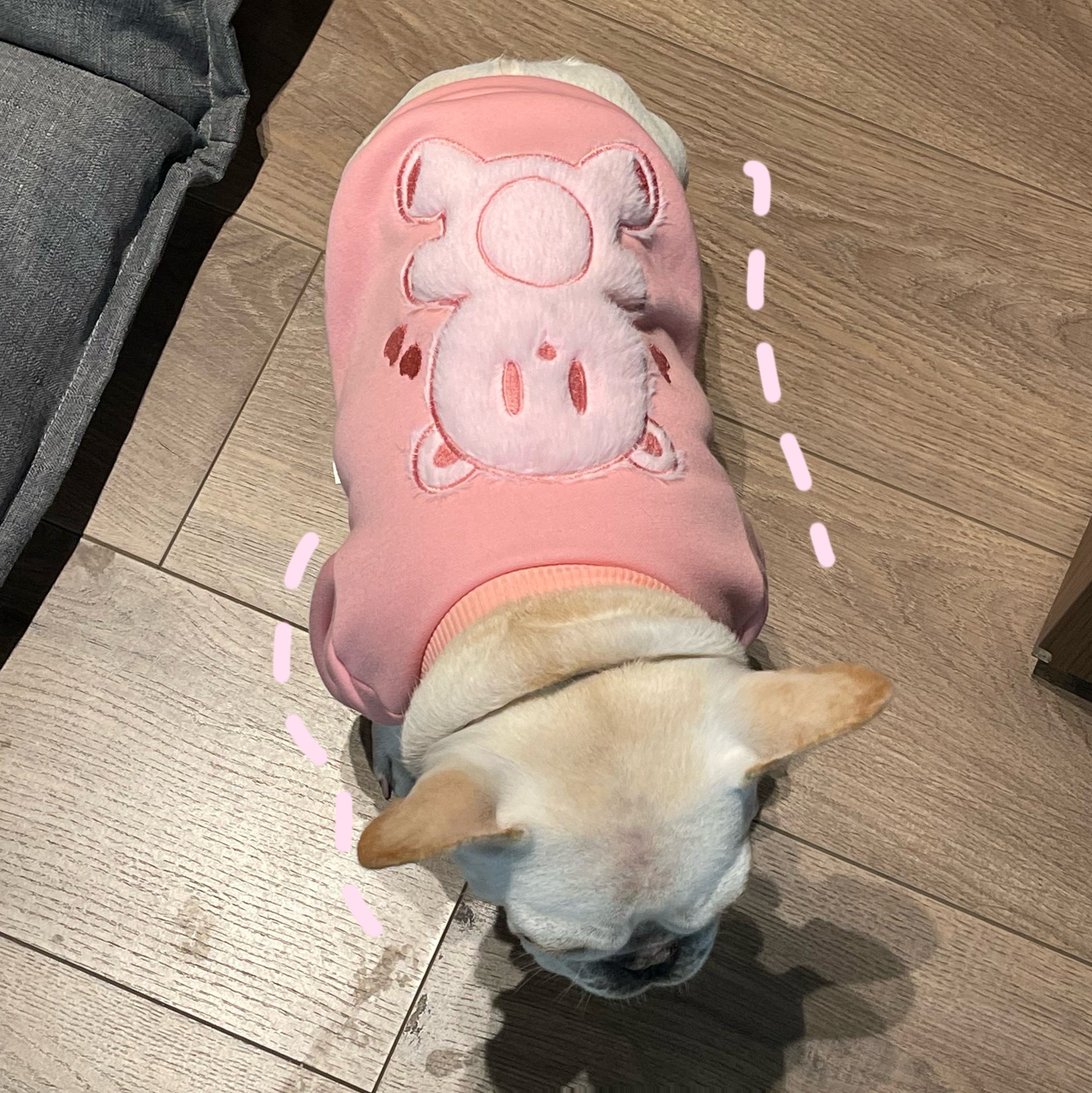 Plush Princess Style Pet Sweater For Warm And Cozy Wear
