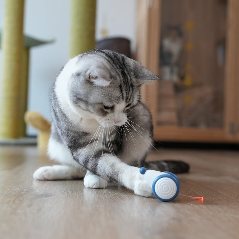 Automatic Intelligent Electric Mouse Pet Toy For Boredom Relief