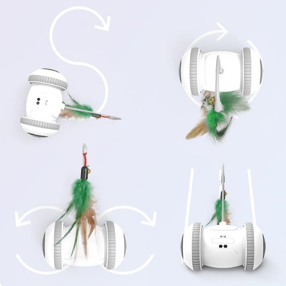 Interactive Pet Toy With Interchangeable Heads And Feather Attachment