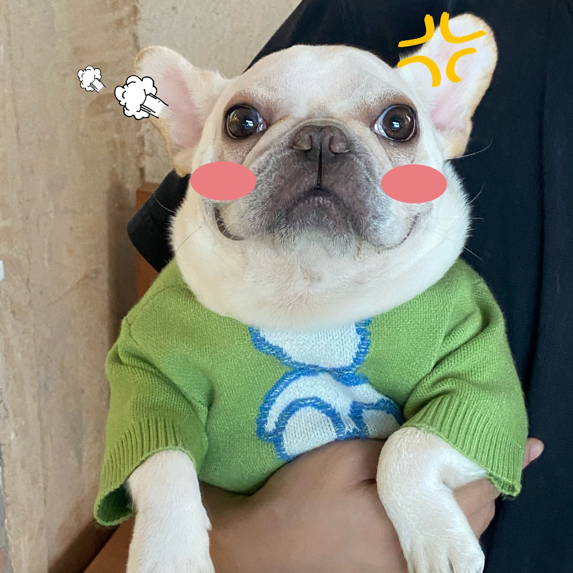 Warm Pet Sweater For Fall And Winter Everyday Wear