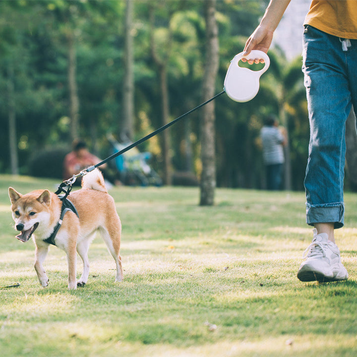 Retractable Pet Leash For Small Medium And Large Pets
