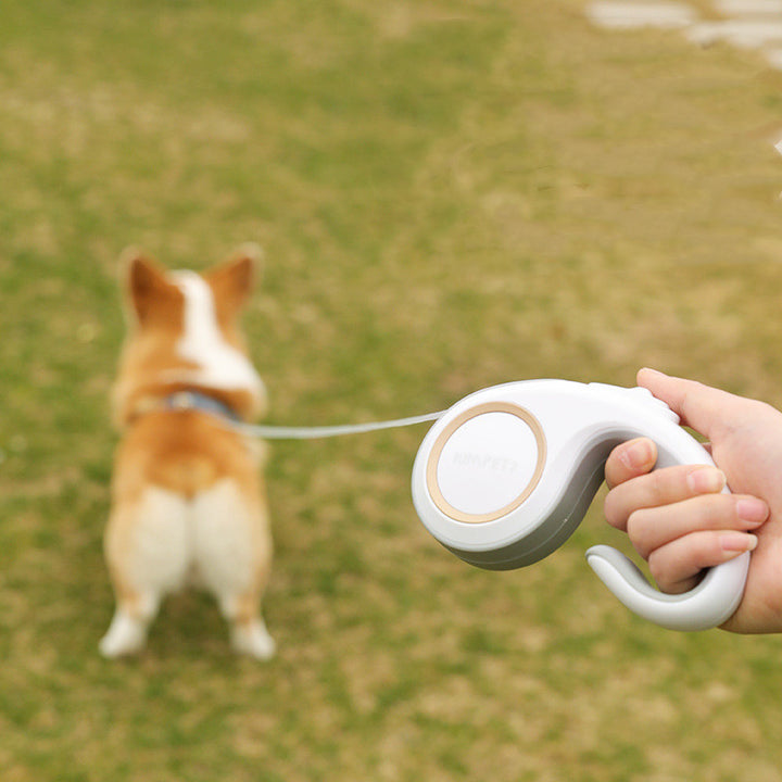 Automatic Retractable Pet Leash For Smooth And Controlled Walking