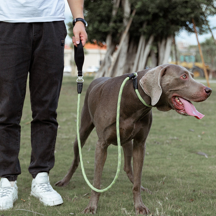 Durable Shock Absorbing Pet Leash For Safe Outdoor Walking
