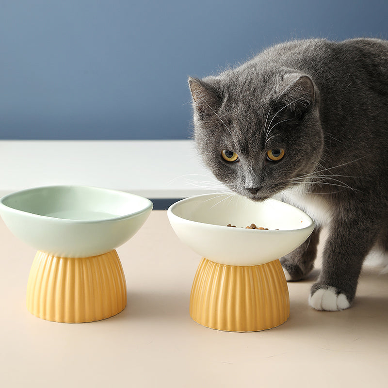 Ceramic Elevated Pet Bowl For Cervical Spine Protection
