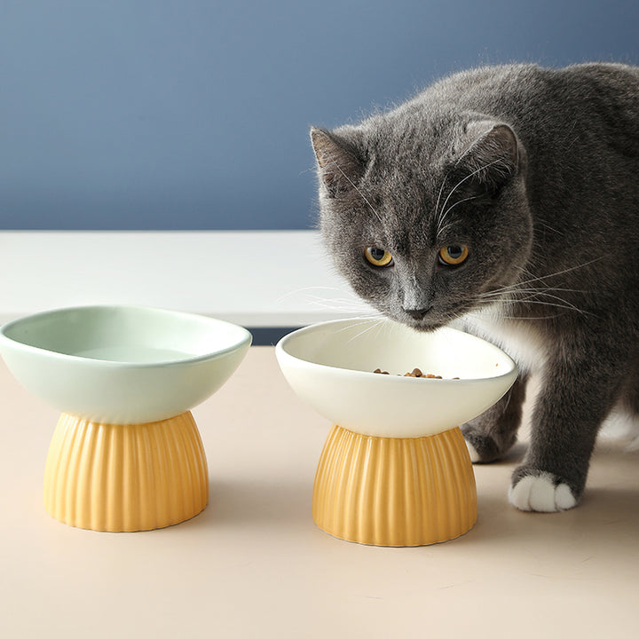 Ceramic Elevated Pet Bowl For Cervical Spine Protection