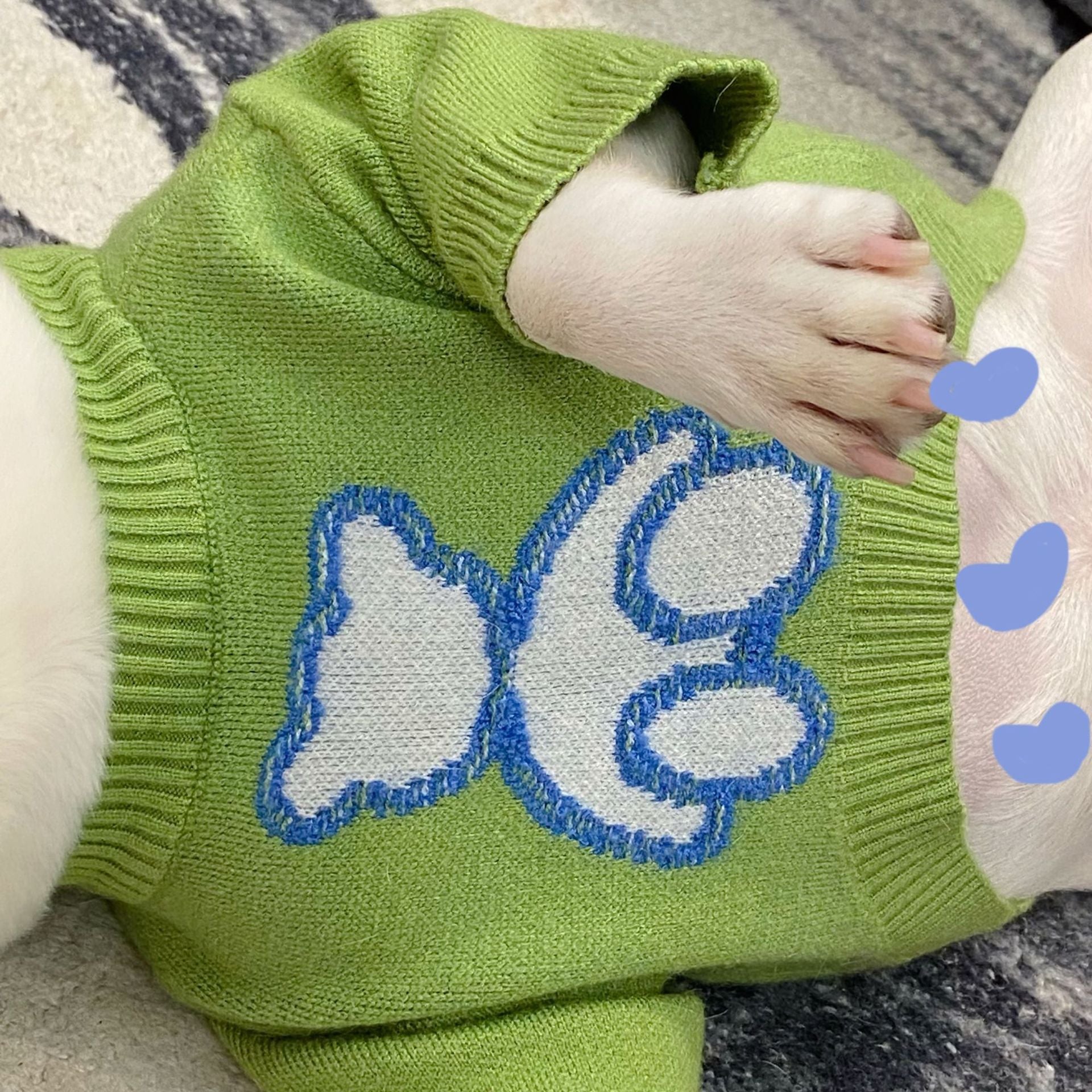 Warm Pet Sweater For Fall And Winter Everyday Wear