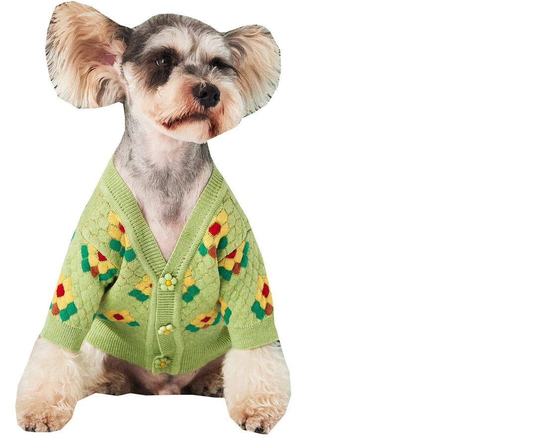 Small Floral Pet Sweater Cardigan For Stylish Everyday Wear