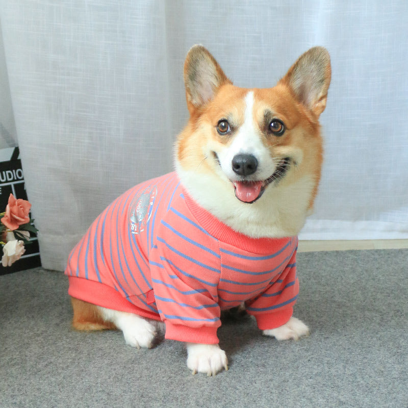 Matching Pet And Owner Sweater Set For Stylish Everyday Wear