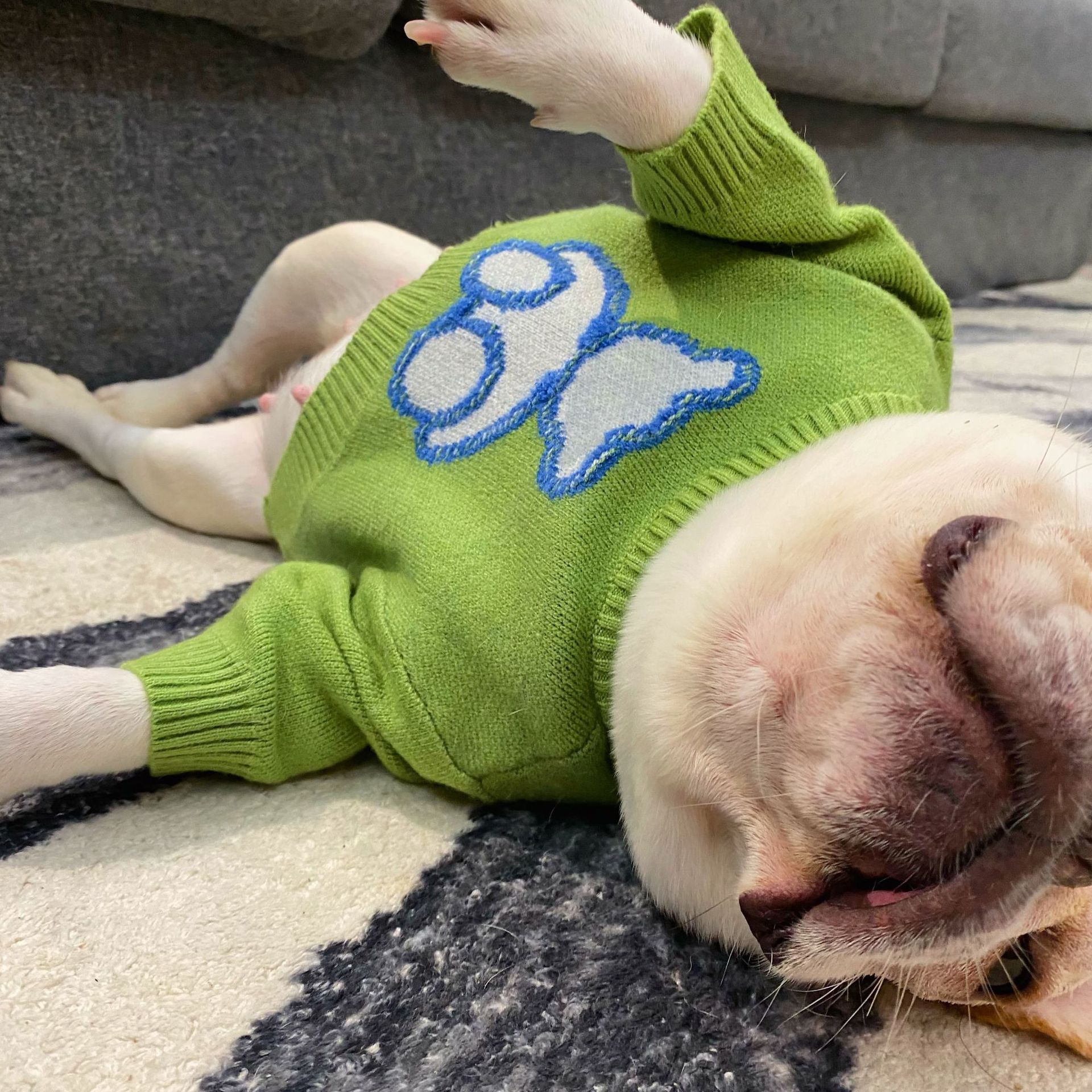 Warm Pet Sweater For Fall And Winter Everyday Wear