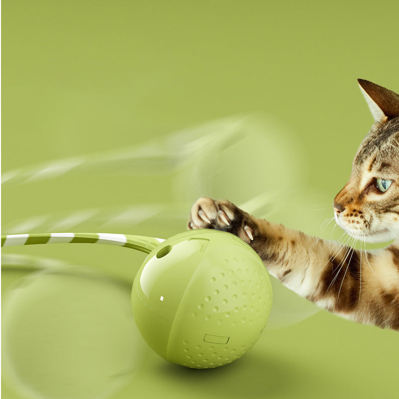 Interactive Electric Motion Activated Pet Ball Toy With Touch Sensor