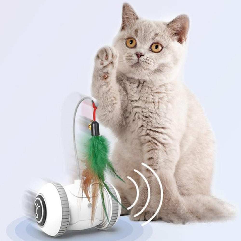 Interactive Pet Toy With Interchangeable Heads And Feather Attachment